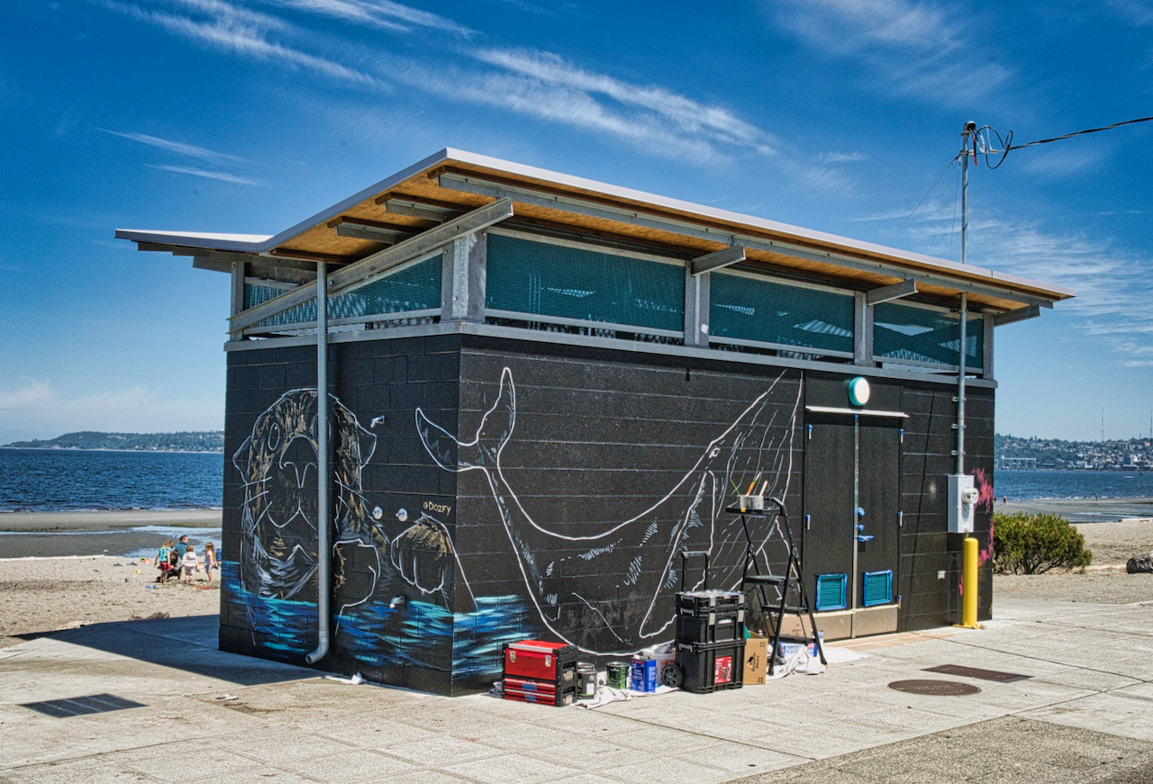 Artist Dozfy brings beauty to the beach; Hopes Corps grant funded